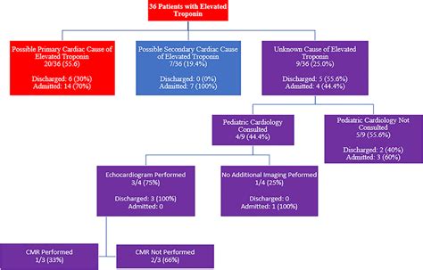 troponin t flow chart